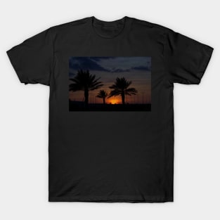 palm trees at sunset T-Shirt